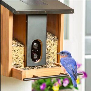 Evergreen Solar Smart Bird Feeder With Camera Bird Watching Cedar Box 1080p HD W